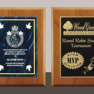 Plaques